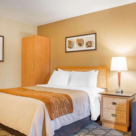 Comfort Inn Brantford Exteriör bild