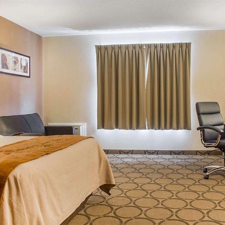 Comfort Inn Brantford Exteriör bild